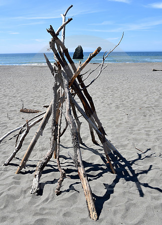 CALIFORNIA STYLE #290 (nr Crescent City CA)