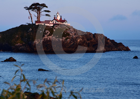 CALIFORNIA STYLE #311 (Crescent City CA)