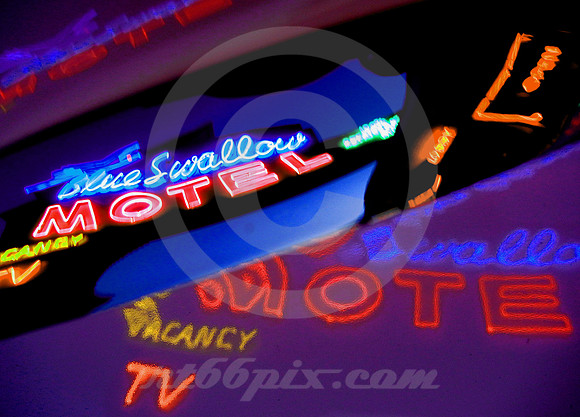 BLUE SWALLOW SIGN REFLECTIONS ON HOOD (Rt 66 Tucumcari NM)