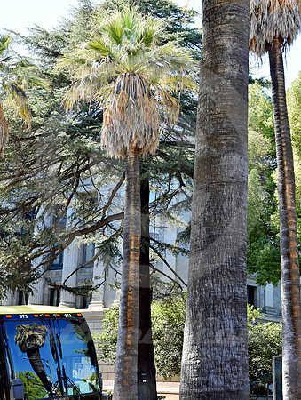 DSC_2695_edited-2