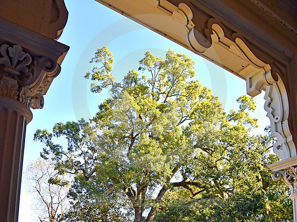 LONGWOOD #15 (Natchez Trace Natchez MS)