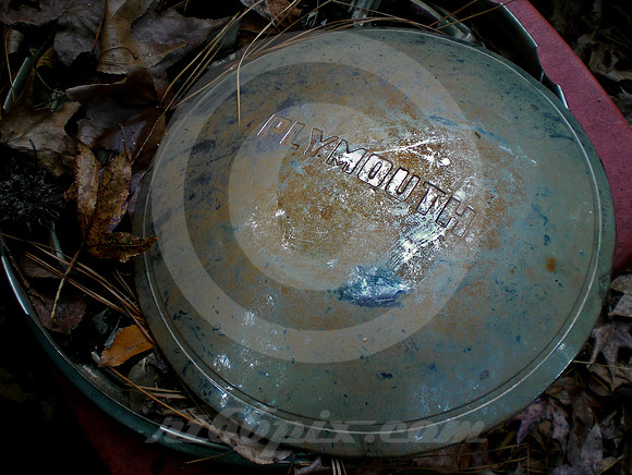 PLYMOUTH HUBCAP IN LEAVES (Lufkin TX)
