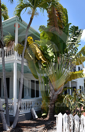 KEY WEST #115 (Key West FL)