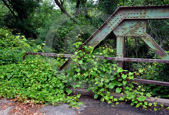GREENERY #1 (Lincoln Highway nr Calamus IA)