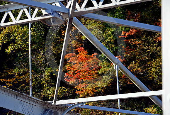 FRAMED TREE IN AUTUMN (Lincoln Highway nr Chester WV)