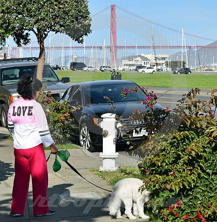 MARINA #7 (Lincoln Highway San Francisco)