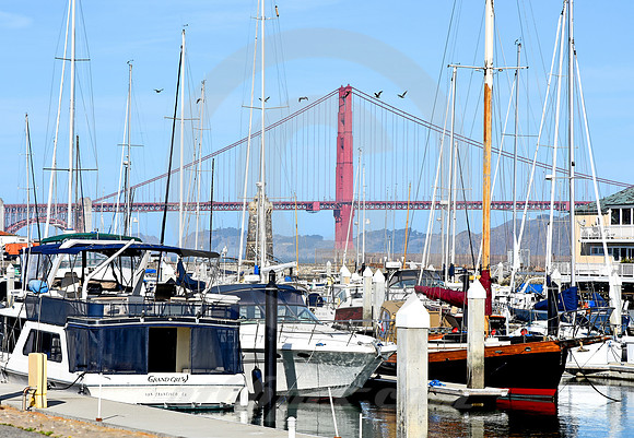 MARINA #13 (Lincoln Highway San Francisco)