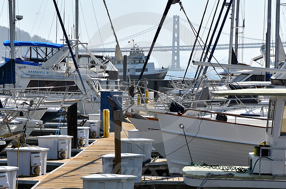 FISHERMANS WHARF #37 (Lincoln Highway San Francisco)
