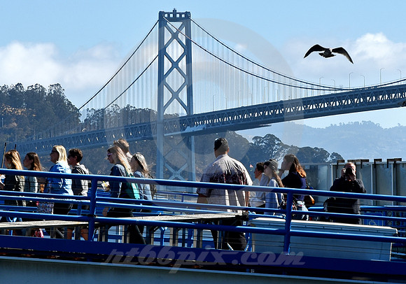URBAN SCENE #301 (Lincoln Highway San Francisco)