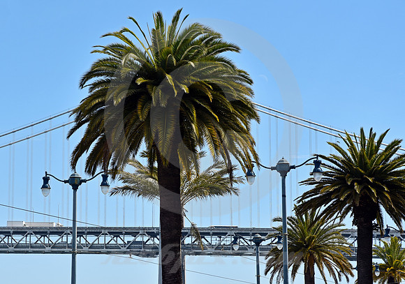 URBAN SCENE #411 (Lincoln Highway San Francisco)