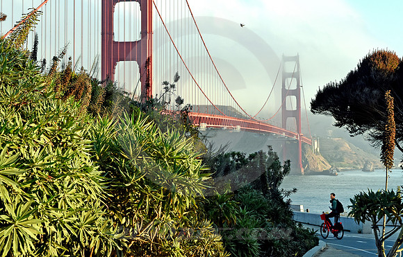 GOLDEN GATE #21 (Lincoln Highway San Francisco)
