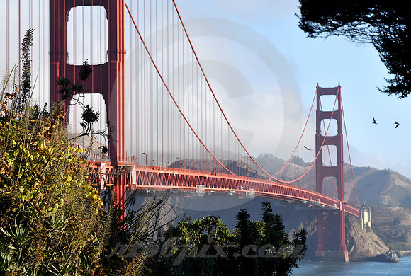 GOLDEN GATE #36 (Lincoln Highway San Francisco)