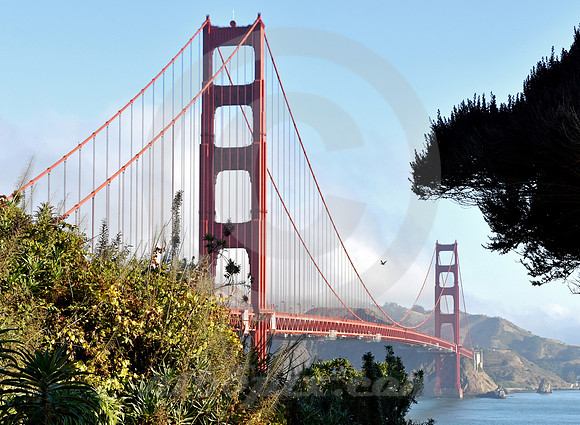GOLDEN GATE #37 (Lincoln Highway San Francisco)