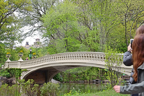 CENTRAL PARK #21 (Lincoln Highway New York)