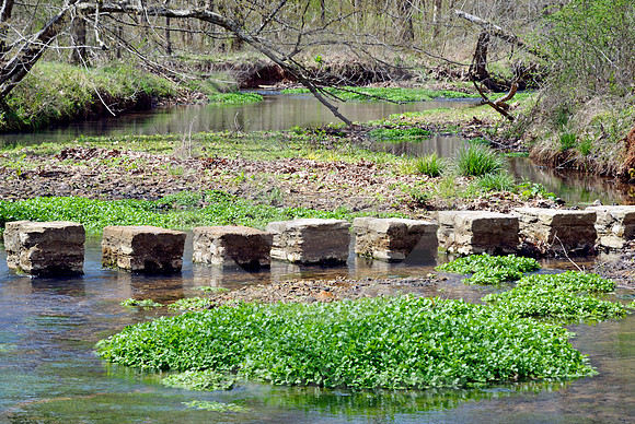 ROCK SPRING #2 (Natchez Trace nr Rhodesville AL)