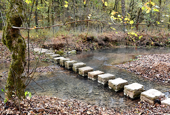 ROCK SPRING #6 (Natchez Trace nr Rhodesville AL)