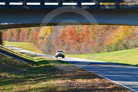 OVERPASS #3 (Natchez Trace nr Shady Grove TN)