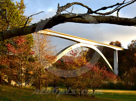 DOUBLE-ARCH #11 (Natchez Trace nr Linton TN)