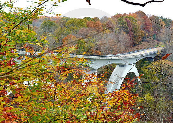 DOUBLE-ARCH #15 (Natchez Trace nr Linton TN)