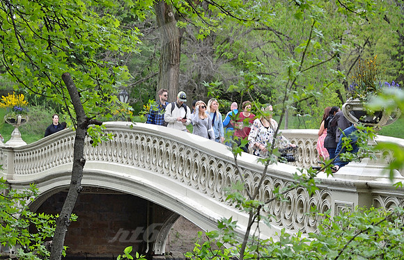CENTRAL PARK #23 (New York)