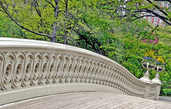 CENTRAL PARK #24 (New York)