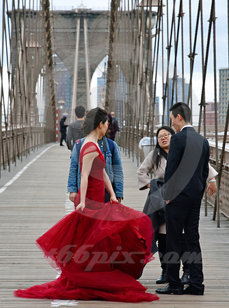 BROOKLYN BRIDGE #14 (New York)