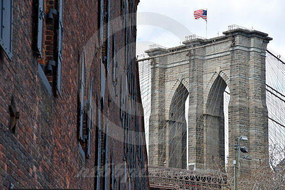 BROOKLYN #8 (New York)