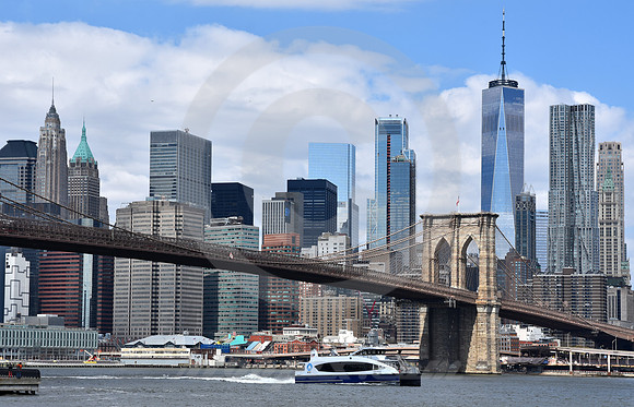 BROOKLYN #14 (New York)