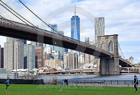 BROOKLYN #17 (New York)