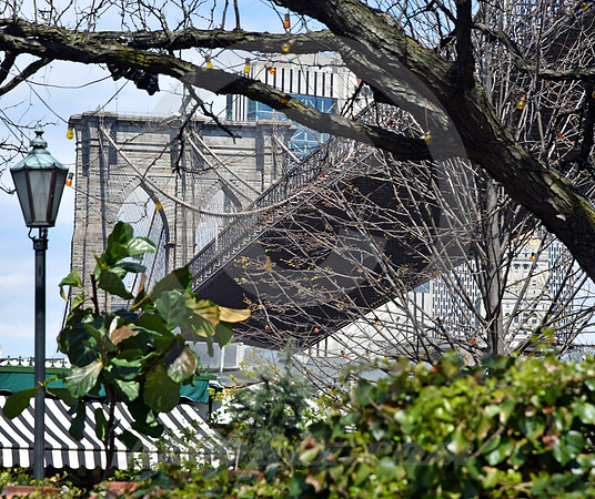 BROOKLYN #19 (New York)