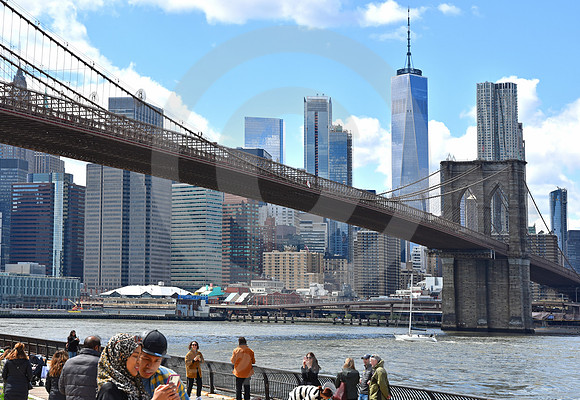 BROOKLYN #70 (New York)