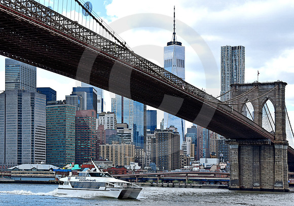 BROOKLYN #71 (New York)