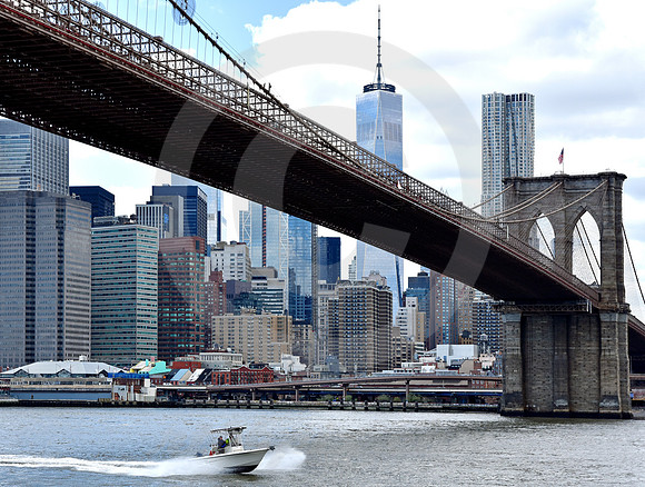 BROOKLYN #72 (New York)