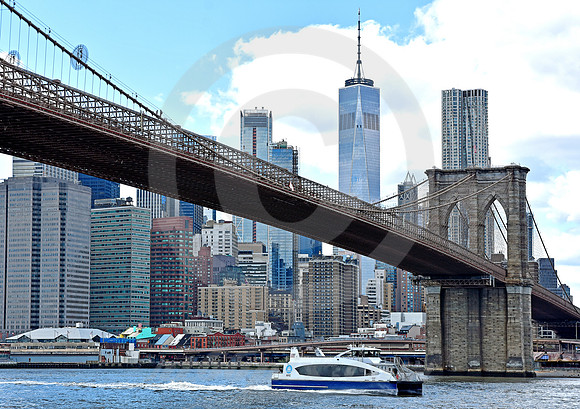 BROOKLYN #75 (New York)