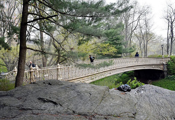 CENTRAL PARK #26 (New York)