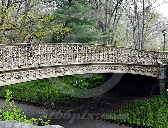 CENTRAL PARK #28 (New York)