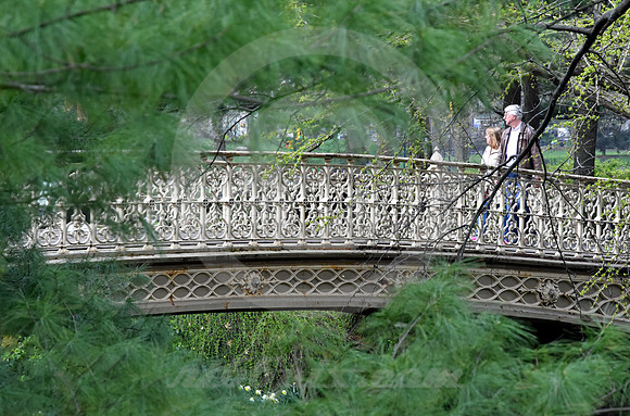 CENTRAL PARK #29 (New York)