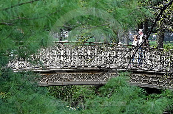 CENTRAL PARK #30 (New York)