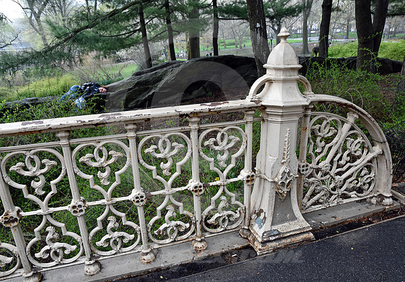 CENTRAL PARK #31 (New York)