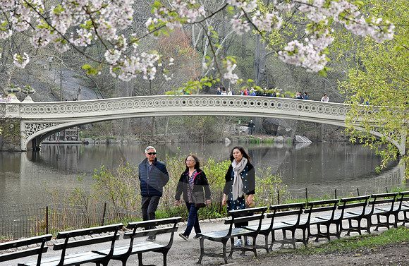 CENTRAL PARK #35 (New York)
