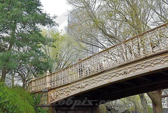 CENTRAL PARK #38 (New York)
