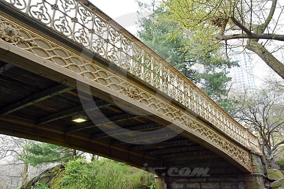CENTRAL PARK #39 (New York)