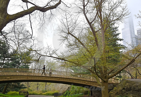 CENTRAL PARK #40 (New York)