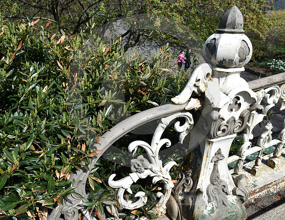 CENTRAL PARK #50 (New York)