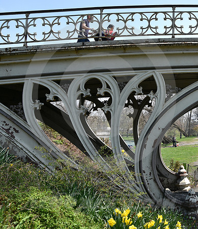 CENTRAL PARK #54 (New York)
