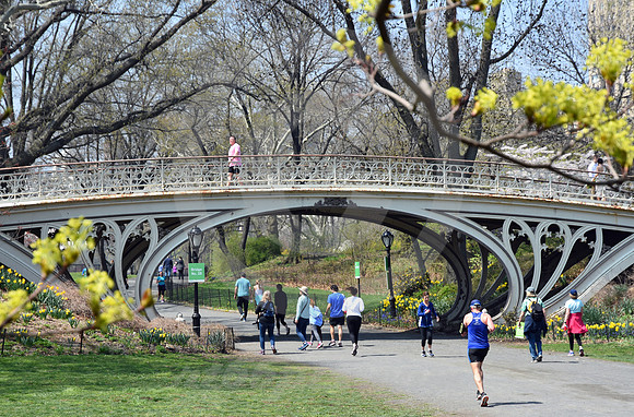 CENTRAL PARK #57 (New York)