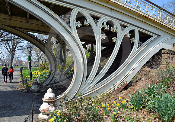 CENTRAL PARK #58 (New York)