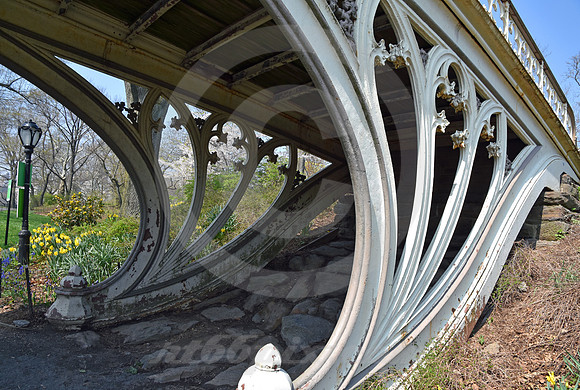 CENTRAL PARK #59 (New York)
