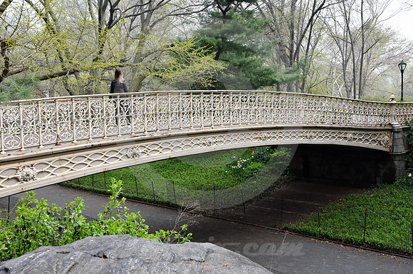 CENTRAL PARK #68 (New York)
