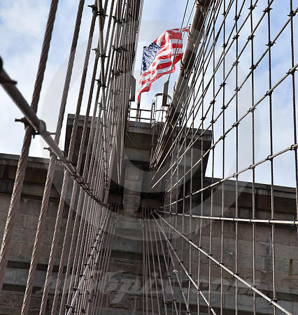 BROOKLYN BRIDGE #99 (New York)